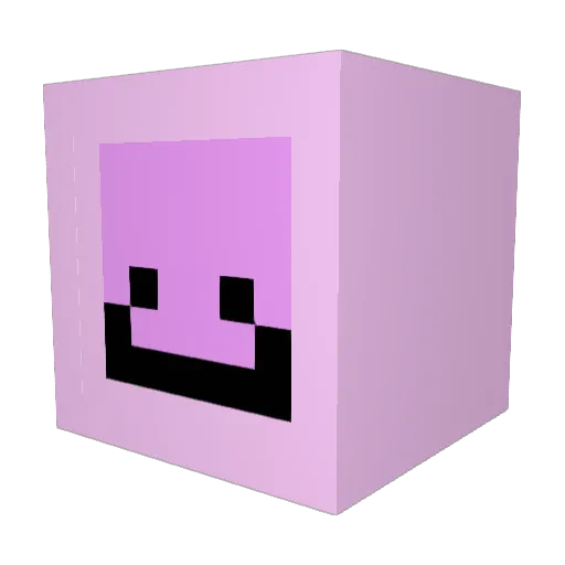 You_SIA Minecraft avatar head, 3D render