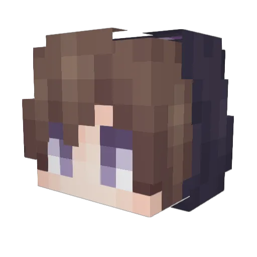 You_Yang19 Minecraft avatar head, 3D render
