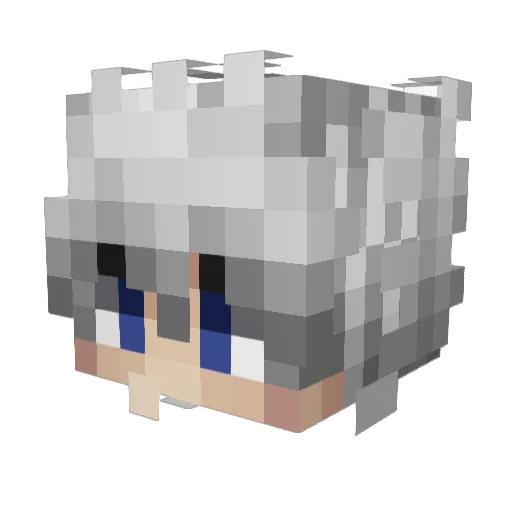 You__________ Minecraft avatar head, 3D render