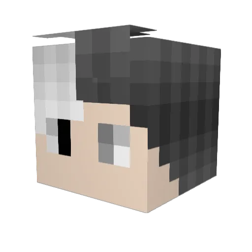 You_ni_Ty Minecraft avatar head, 3D render