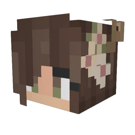 Youbee_ Minecraft avatar head, 3D render