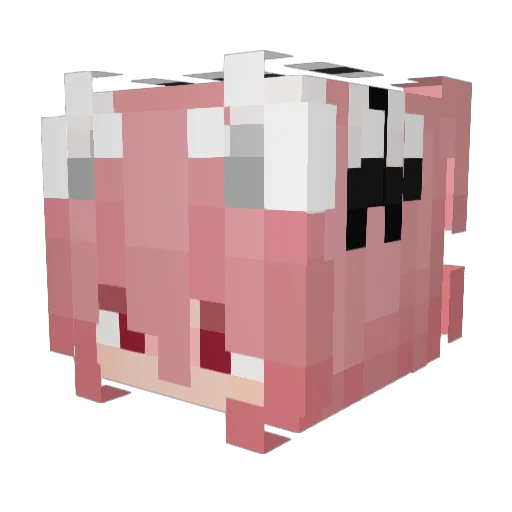 Youby644 Minecraft avatar head, 3D render