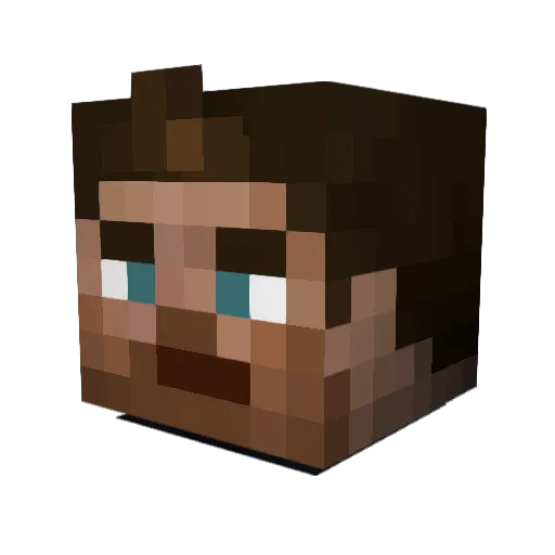 Youcuber100 Minecraft avatar head, 3D render