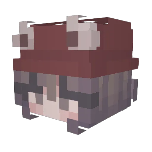 YoudayImperator Minecraft avatar head, 3D render