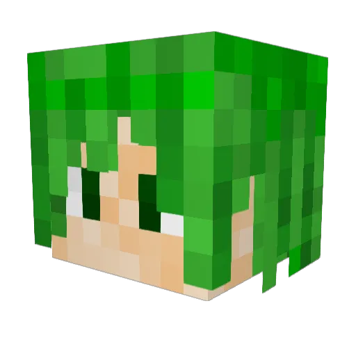 Youdj Minecraft avatar head, 3D render