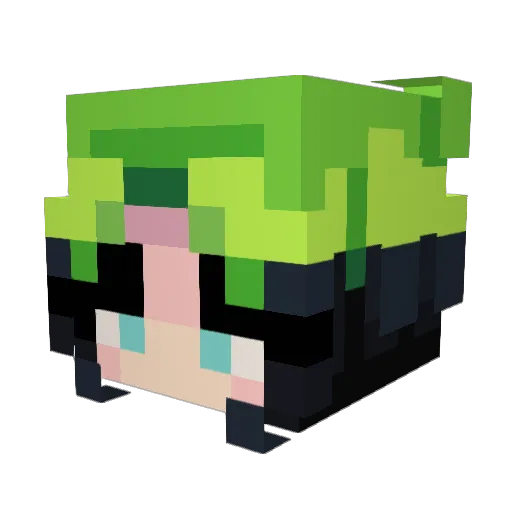 Youfoundiris Minecraft avatar head, 3D render