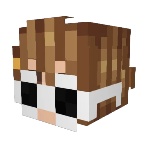 Youknowthisfoo Minecraft avatar head, 3D render