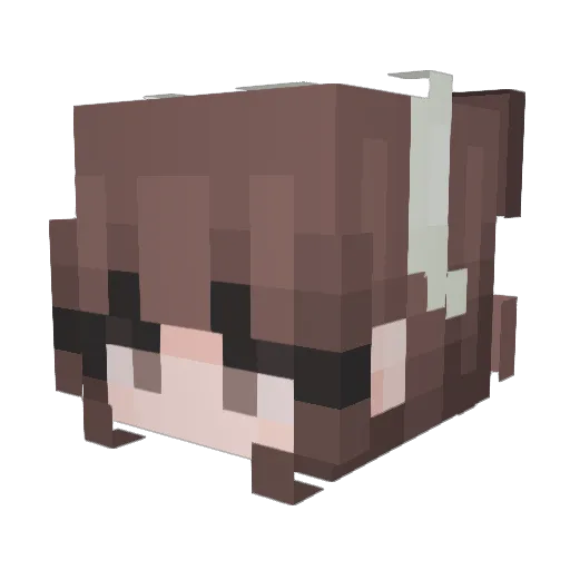 Youknowwhenyou Minecraft avatar head, 3D render