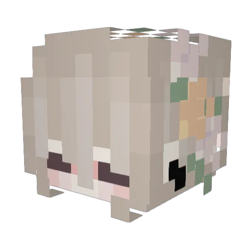 YoumuSlash Minecraft avatar head, 3D render
