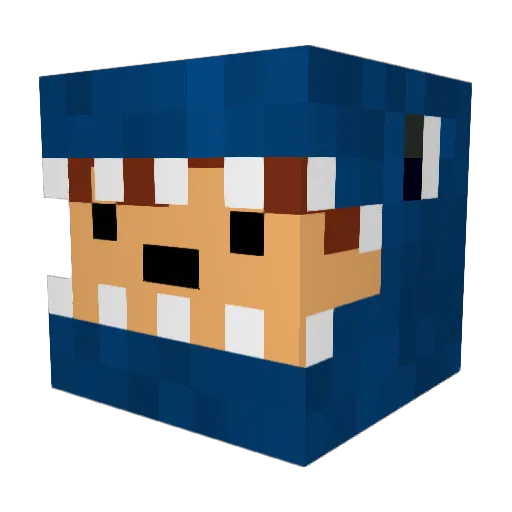 YoungAlpha31 Minecraft avatar head, 3D render