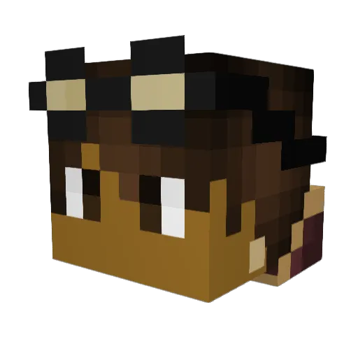 YoungAugustus Minecraft avatar head, 3D render
