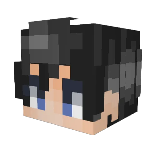 YoungCRAFTER25 Minecraft avatar head, 3D render