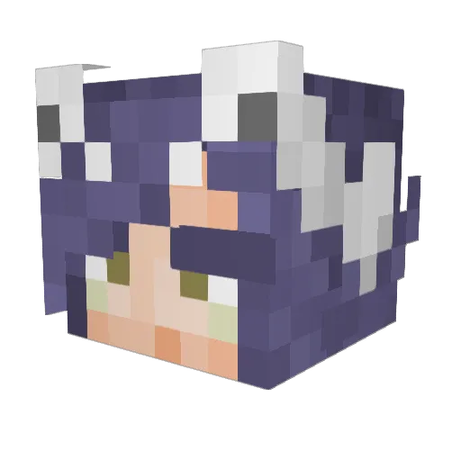 YoungCandle1265 Minecraft avatar head, 3D render
