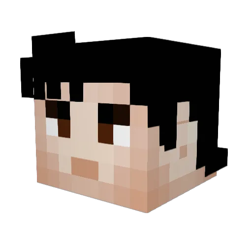 YoungCosmos Minecraft avatar head, 3D render