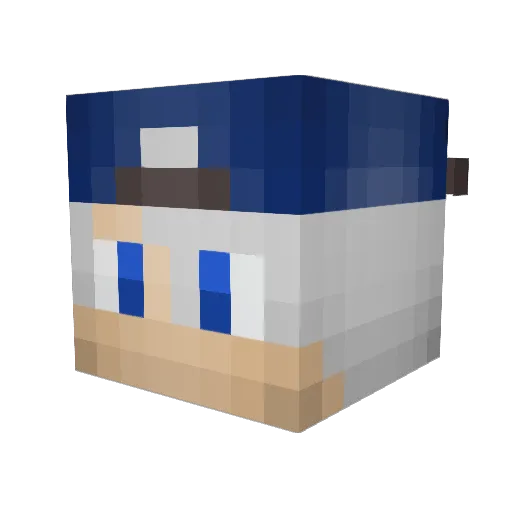 YoungFalcone Minecraft avatar head, 3D render
