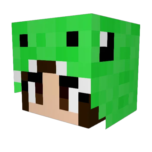 YoungMaster05 Minecraft avatar head, 3D render
