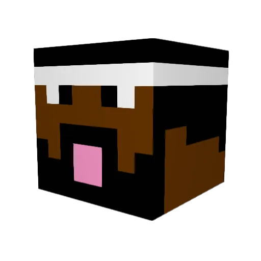 YoungNastyMan79 Minecraft avatar head, 3D render