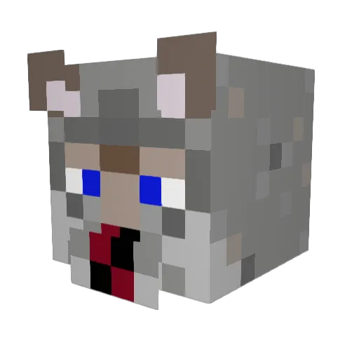YoungS0SA Minecraft avatar head, 3D render