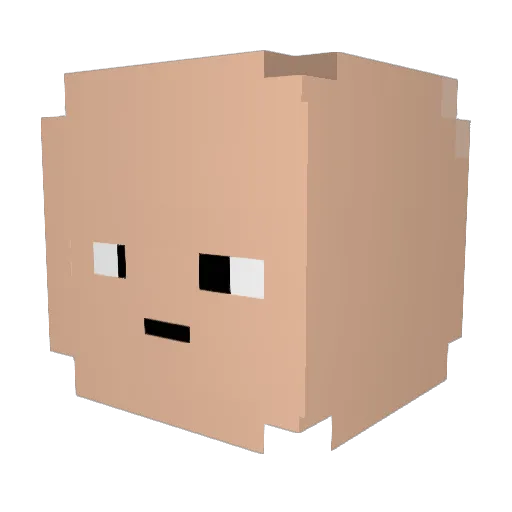 YoungSokka Minecraft avatar head, 3D render