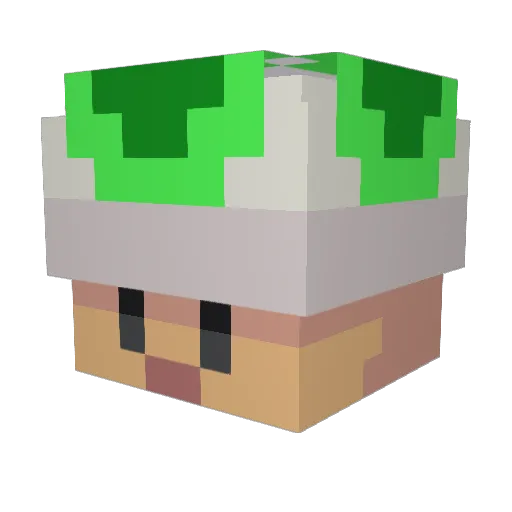 YoungToad Minecraft avatar head, 3D render