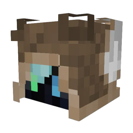 Young_Bagel Minecraft avatar head, 3D render