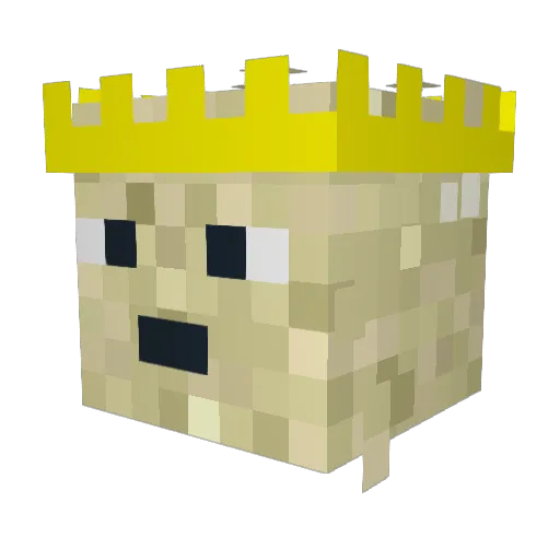 Young_Money69 Minecraft avatar head, 3D render