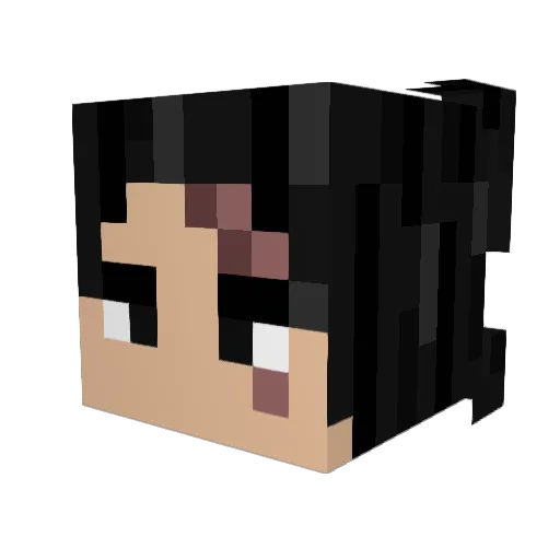 Young_Pabs Minecraft avatar head, 3D render