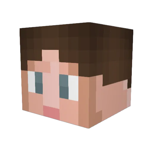 Young_Sheldon911 Minecraft avatar head, 3D render