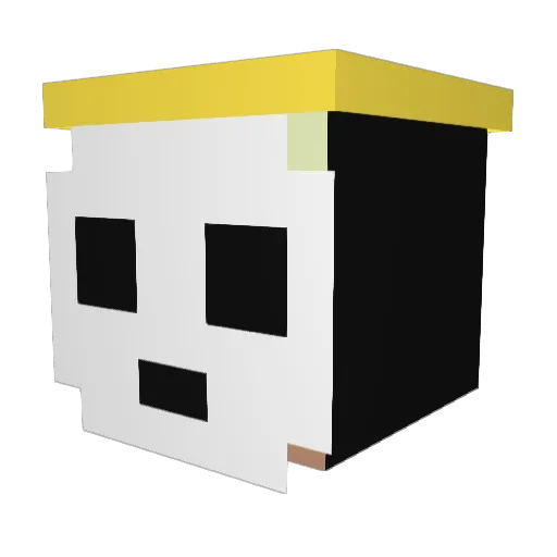 Young_TKN Minecraft avatar head, 3D render