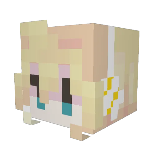 Youngjedi29 Minecraft avatar head, 3D render