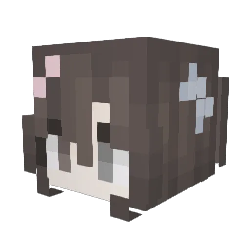 Youny_555 Minecraft avatar head, 3D render