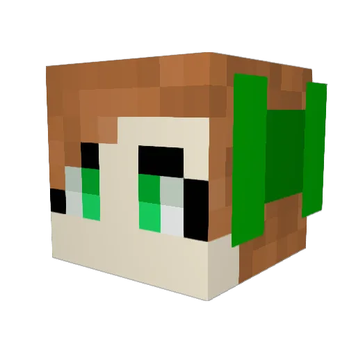 YourAverageJoeYT Minecraft avatar head, 3D render