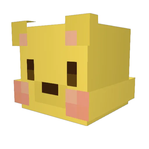 YourBirthday0520 Minecraft avatar head, 3D render
