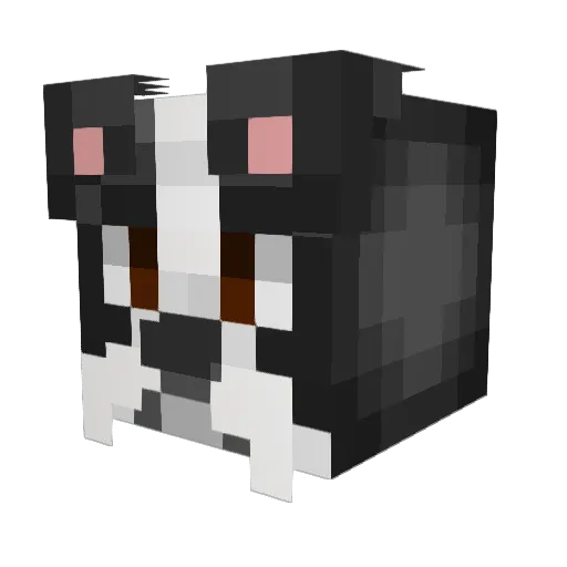 YourC0Pilot Minecraft avatar head, 3D render