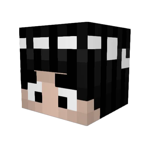 YourDailyAsian Minecraft avatar head, 3D render