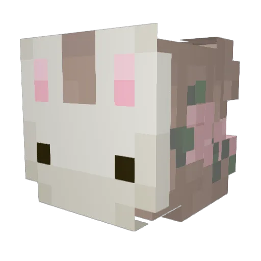 YourDudeFaith Minecraft avatar head, 3D render