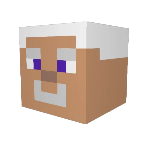 YourEverydayNerd Minecraft avatar head, 3D render