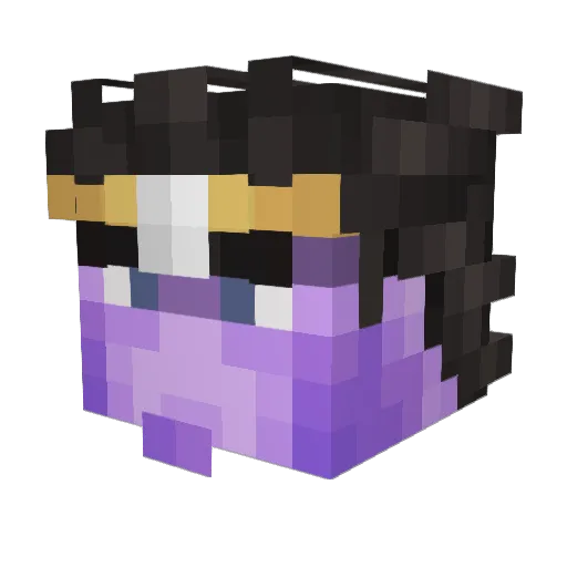 YourFriendE Minecraft avatar head, 3D render