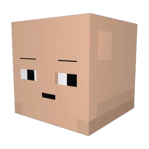 YourFutureHero Minecraft avatar head, 3D render