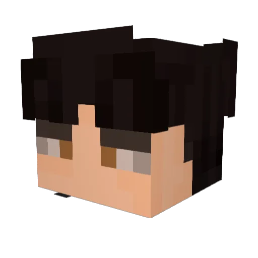 YourHomieGoose Minecraft avatar head, 3D render