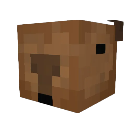 YourHomieGort Minecraft avatar head, 3D render