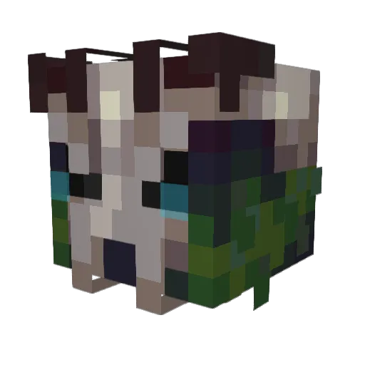 YourL0calCrypt1d Minecraft avatar head, 3D render