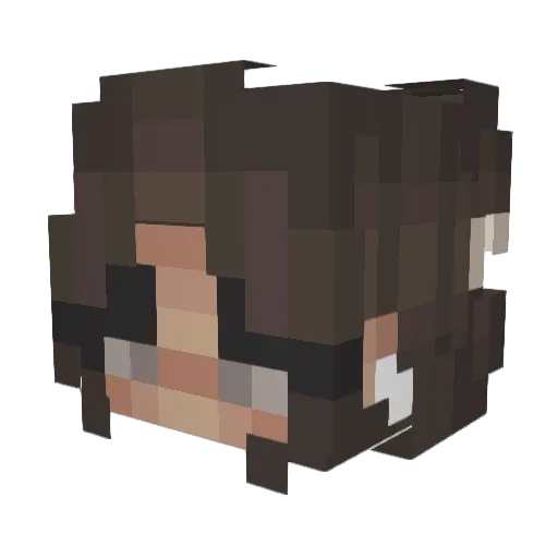 YourLifeSaver Minecraft avatar head, 3D render