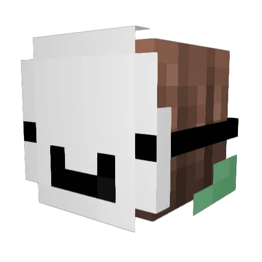 YourLocalE_Girl Minecraft avatar head, 3D render