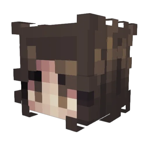 YourLocalKiller Minecraft avatar head, 3D render