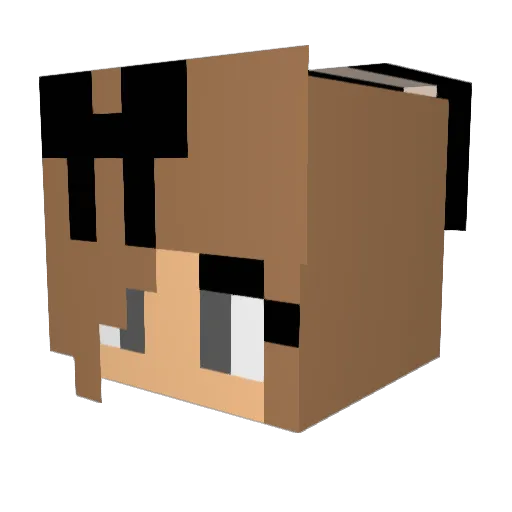 YourLocalLag Minecraft avatar head, 3D render