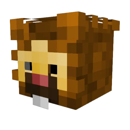 YourLocalLoser72 Minecraft avatar head, 3D render