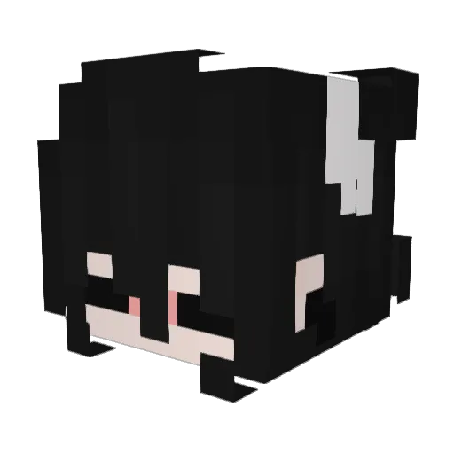YourLocalPixie Minecraft avatar head, 3D render