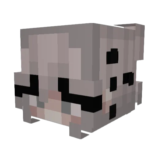YourLocal_EGirl Minecraft avatar head, 3D render