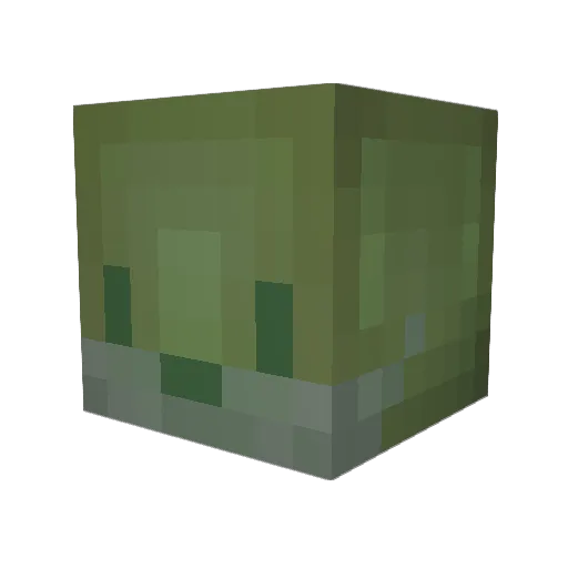 YourMomLovesMe Minecraft avatar head, 3D render